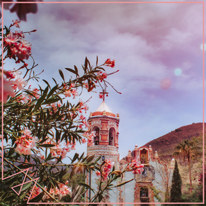 成人🔞高潮片免费网站小玩具
