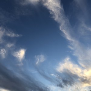 成人🔞高潮片免费网站小玩具
