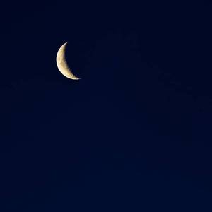 成人🔞高潮片免费网站小玩具
